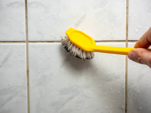 Mold Removal and Inspection in Eidson Road, TX