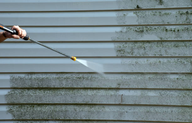 Best Residential Mold Removal  in Eidson Road, TX