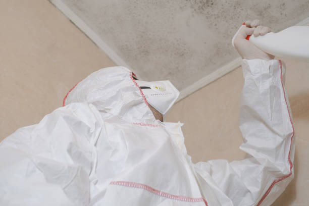 Best Mold Cleaning Services  in Eidson Road, TX